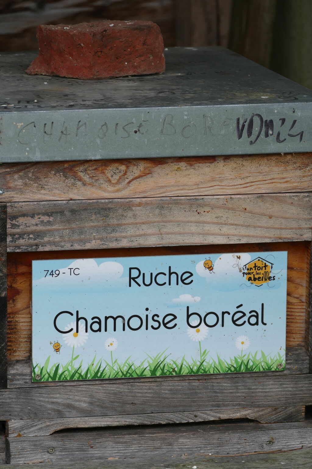 La ruche Chamoise boréal
