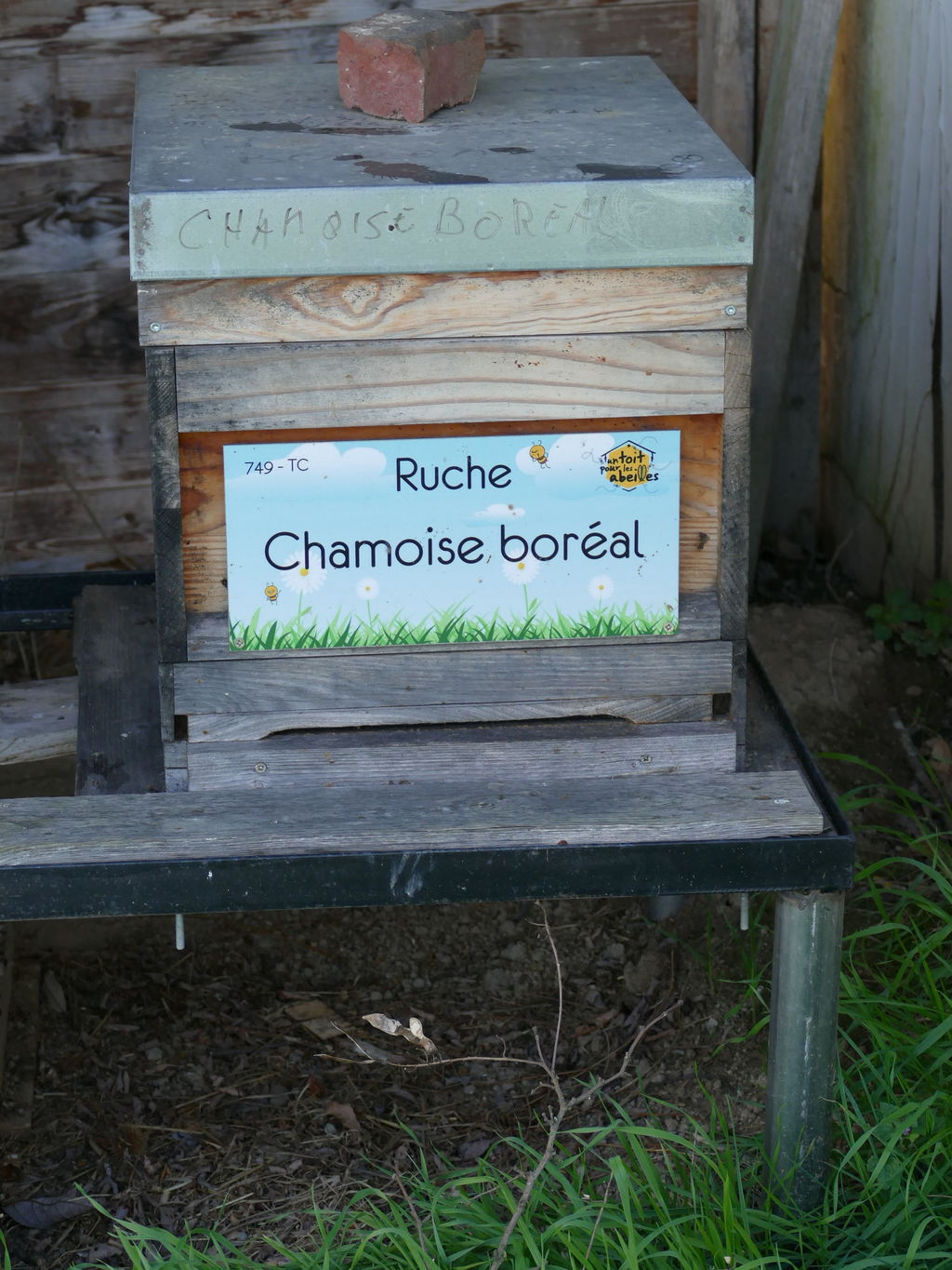 La ruche Chamoise boréal