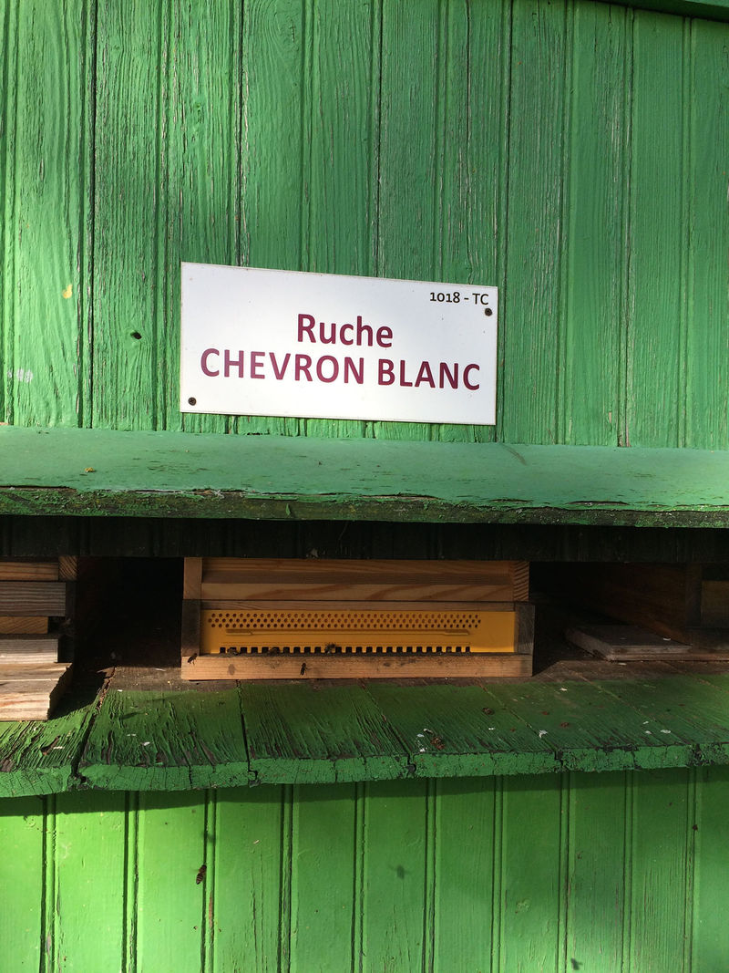 La ruche