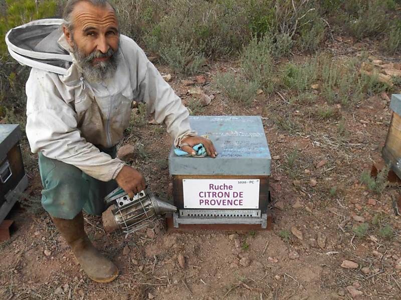 La ruche Citron de provence
