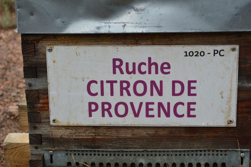 La ruche Citron de provence