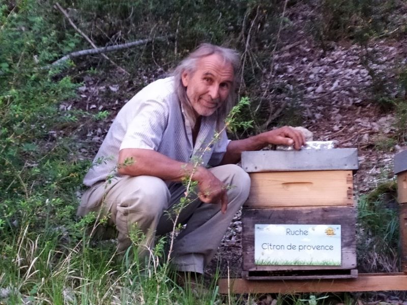 La ruche Citron de provence