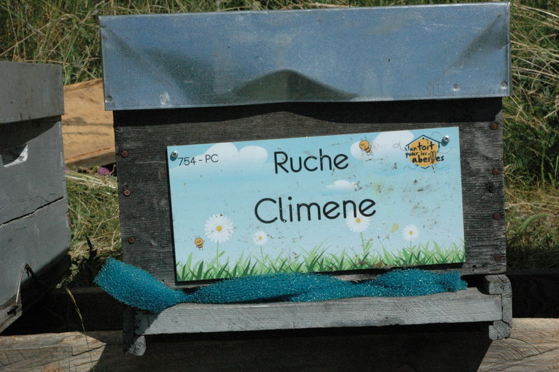 La ruche Climene