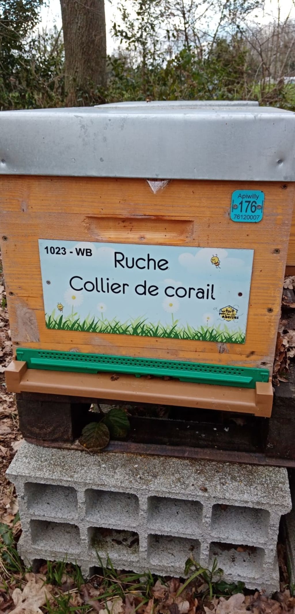 La ruche Collier de corail