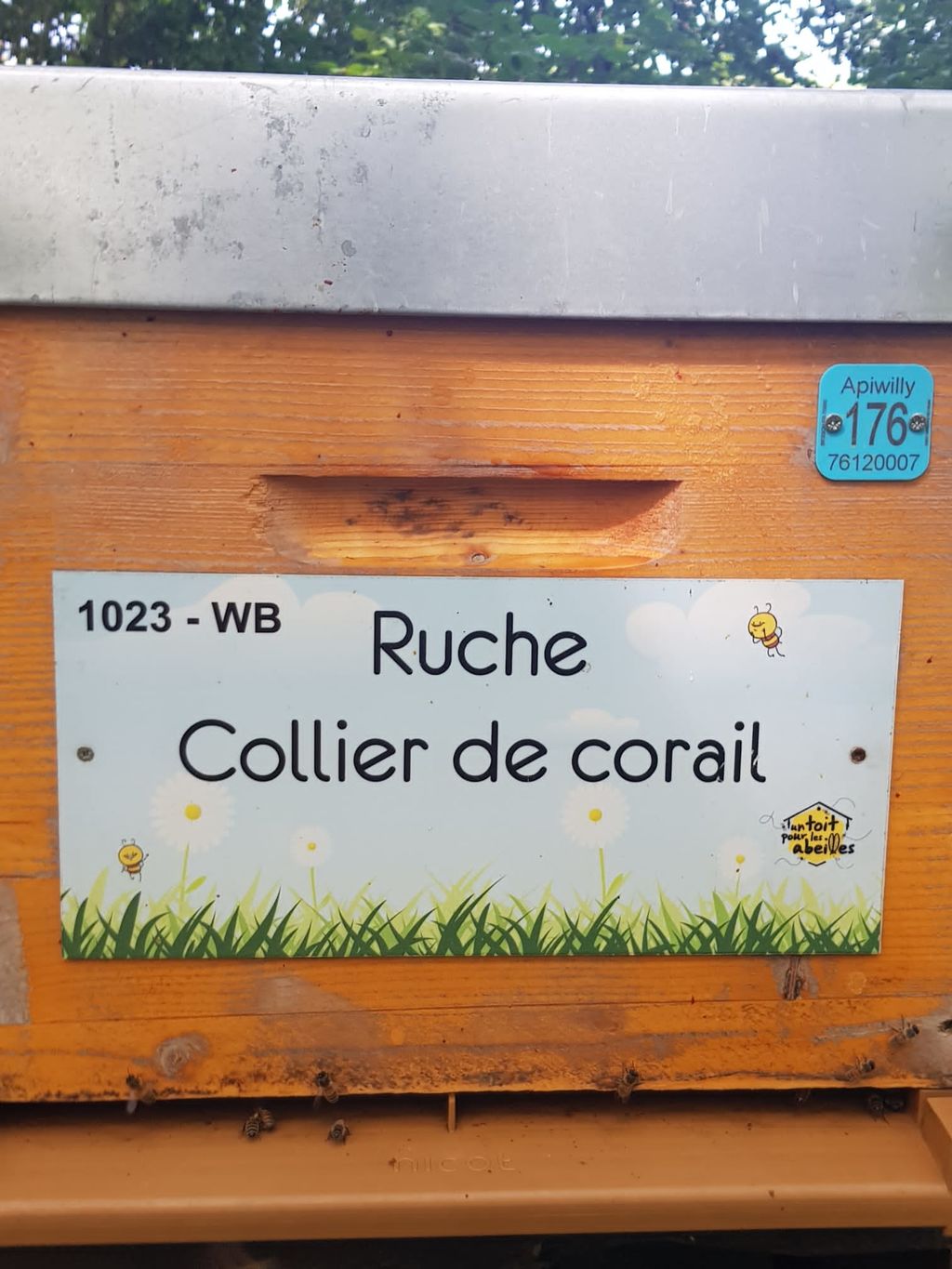 La ruche