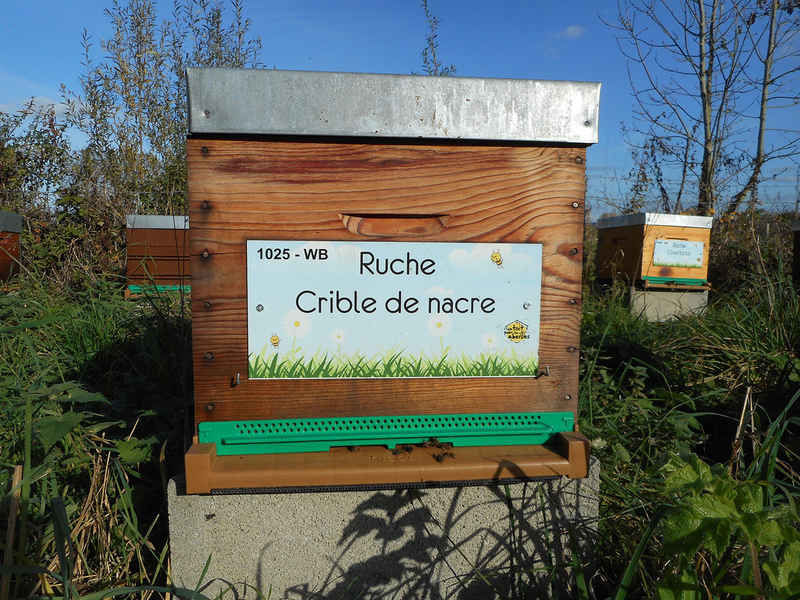 La ruche
