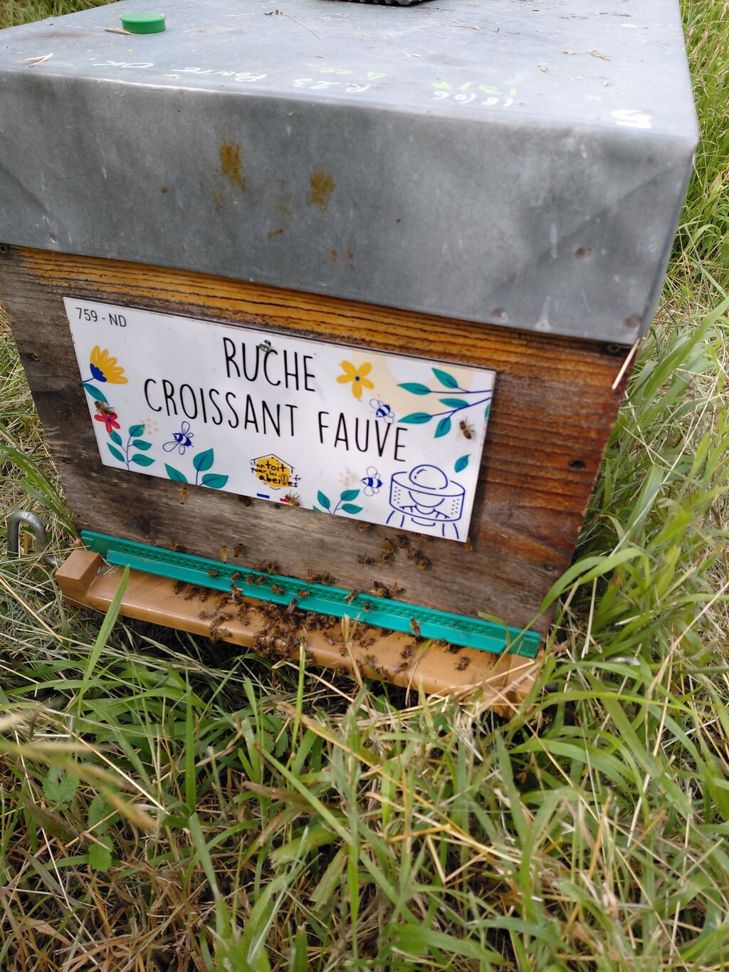 La ruche Croissant fauve