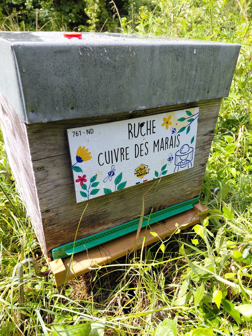 La ruche Cuivre des marais