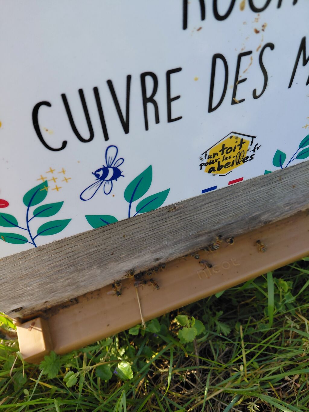 La ruche Cuivre des marais