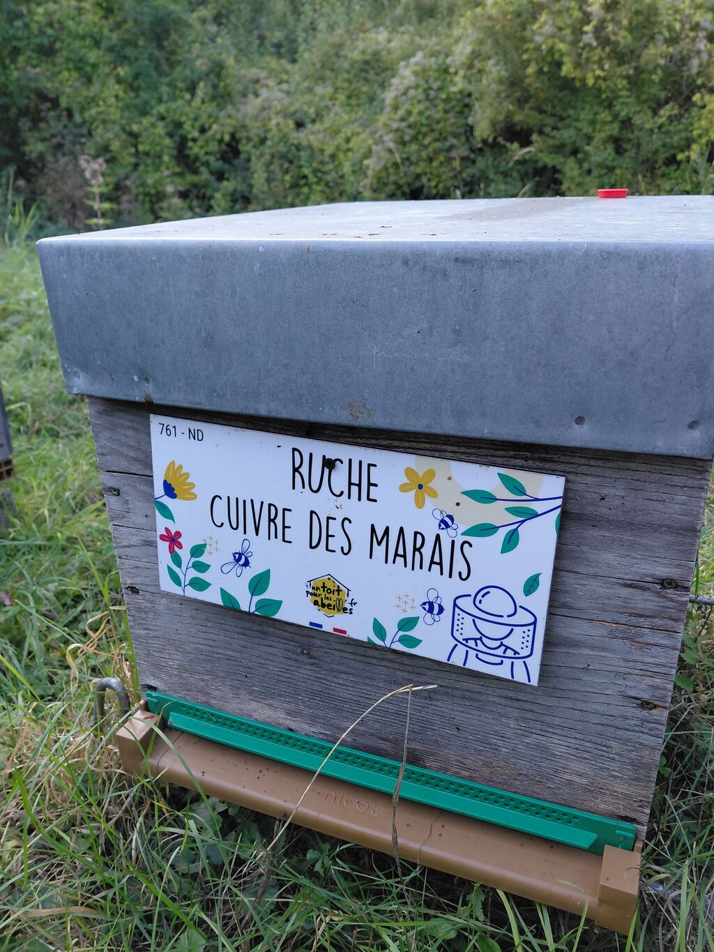 La ruche Cuivre des marais
