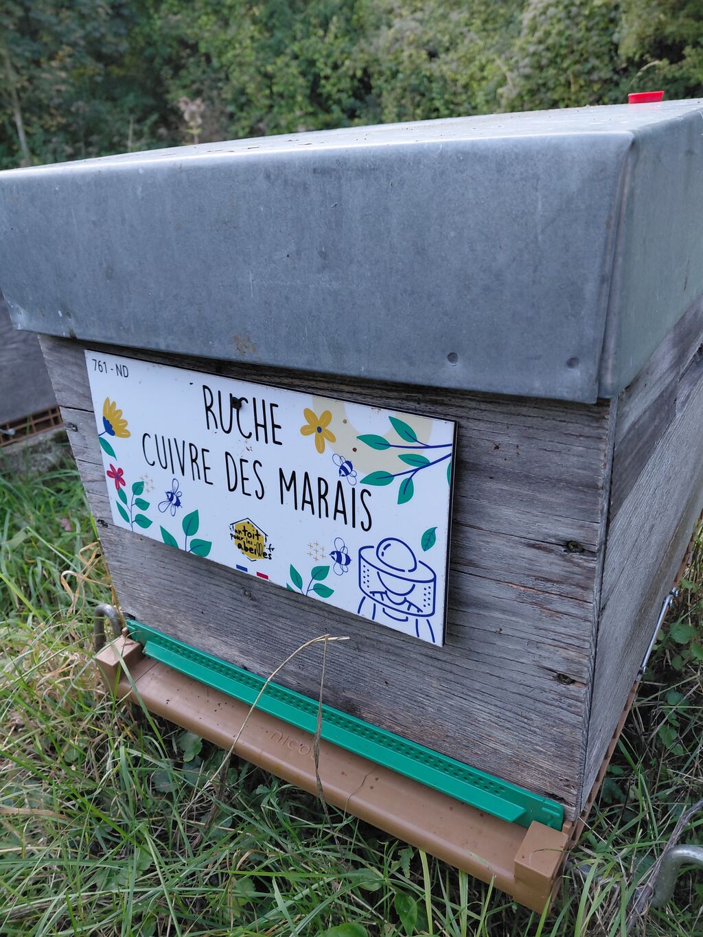 La ruche Cuivre des marais