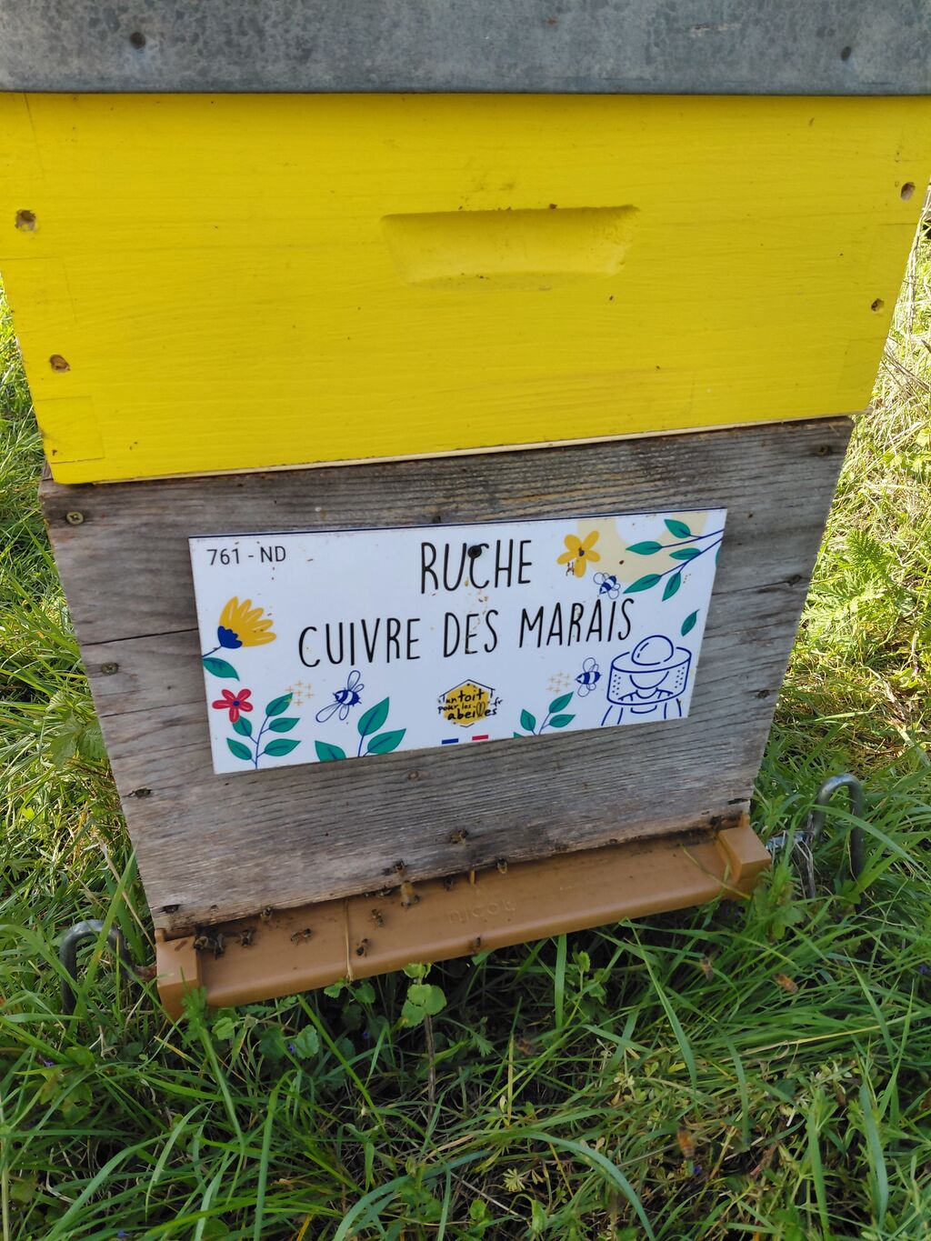 La ruche Cuivre des marais