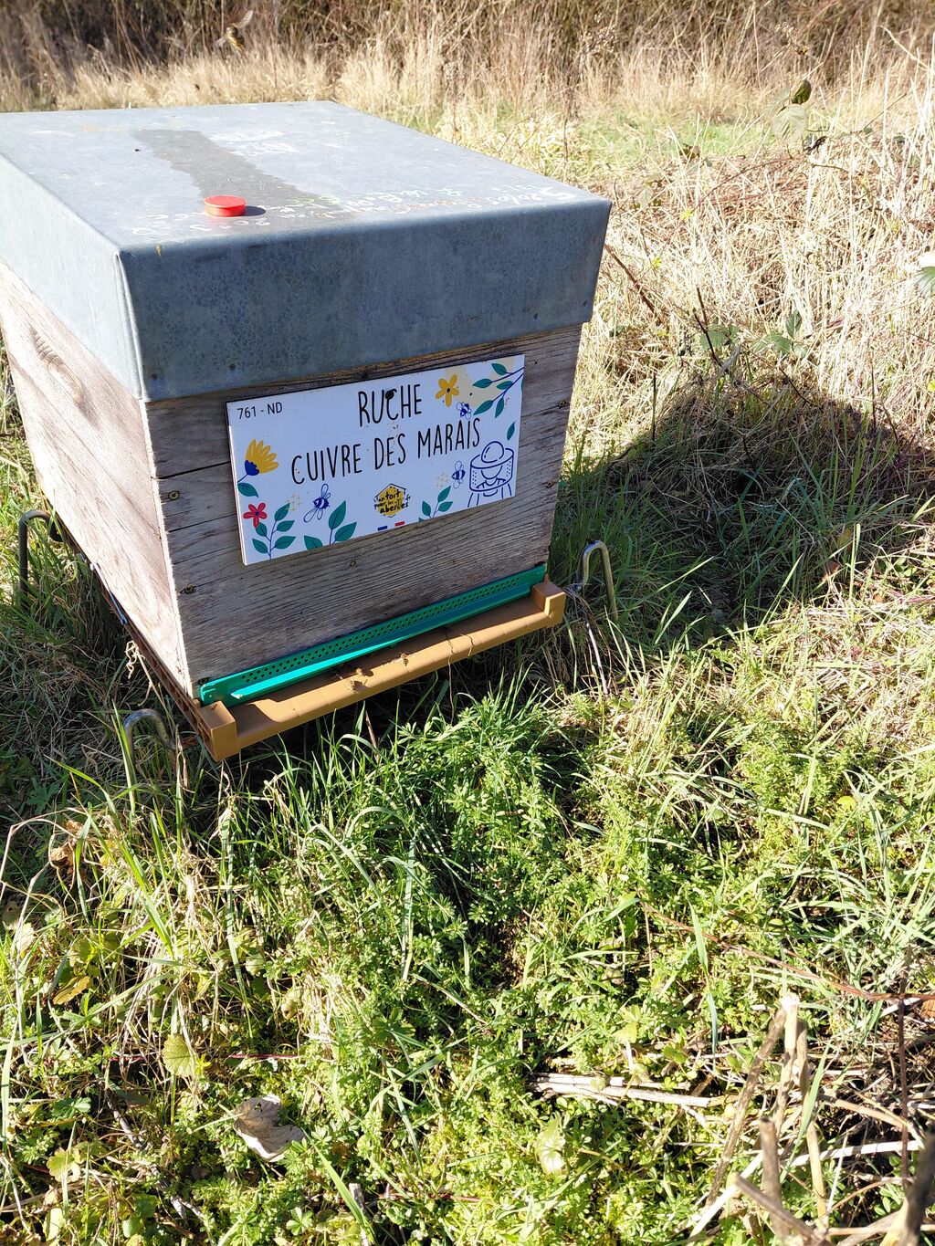 La ruche Cuivre des marais