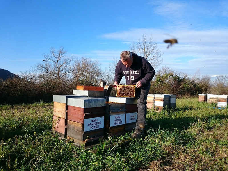 La ruche Damier argente
