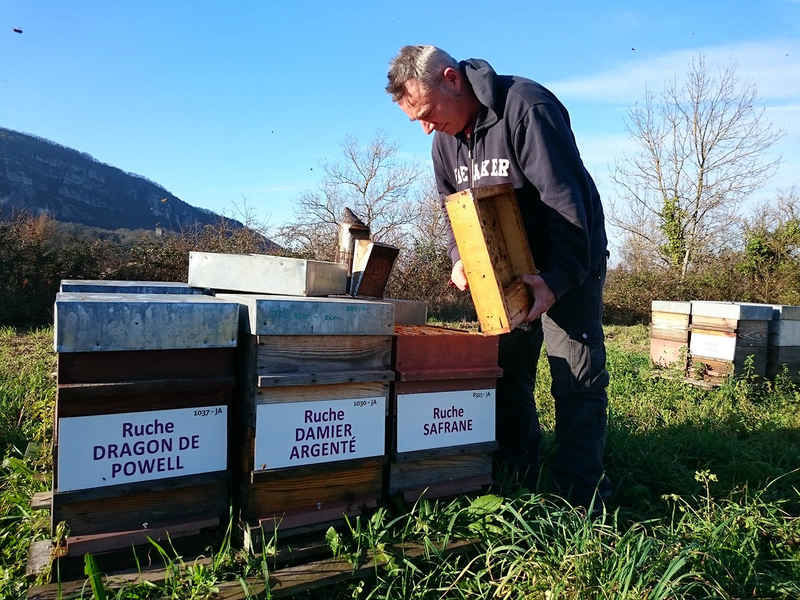 La ruche Damier argente