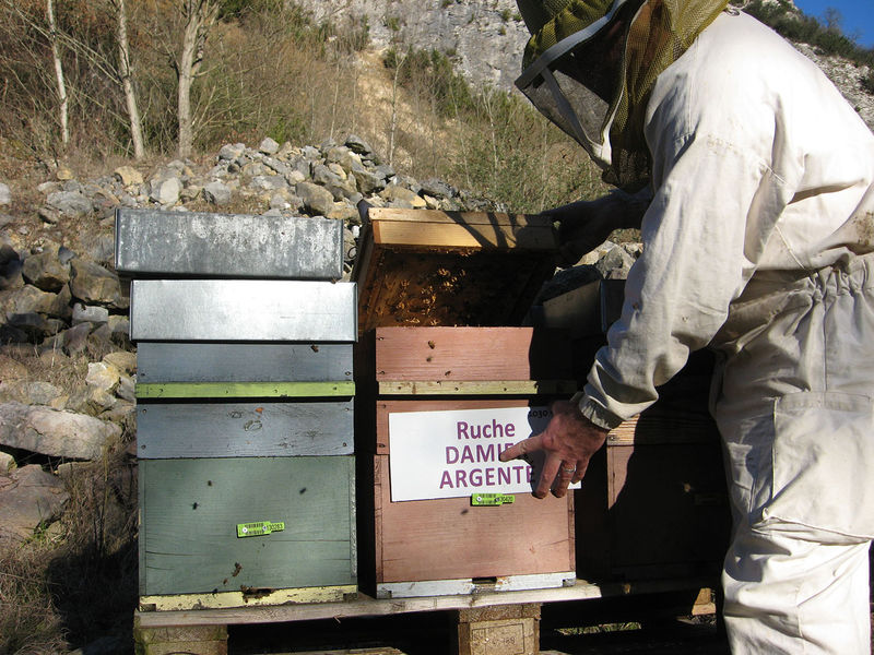 La ruche Damier argente