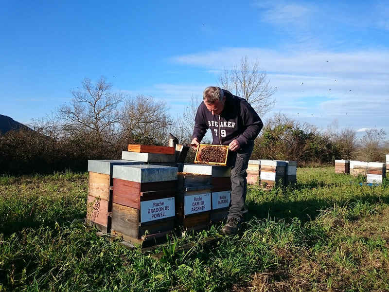 La ruche Damier argente