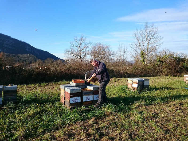 La ruche Damier argente