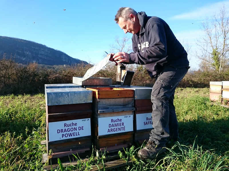 La ruche Damier argente