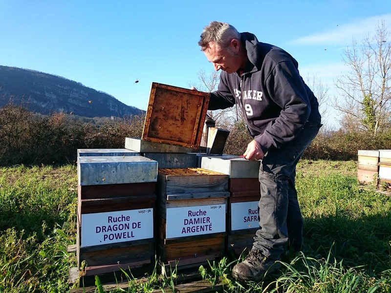 La ruche Damier argente
