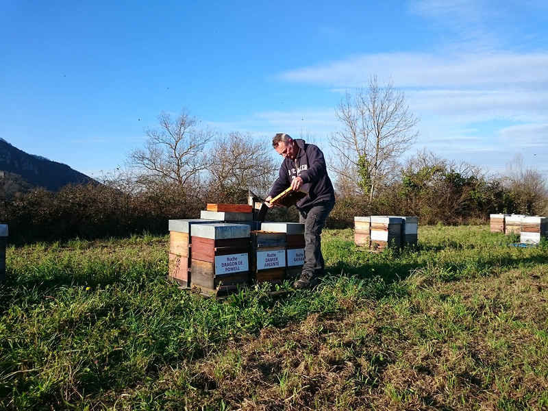 La ruche Damier argente