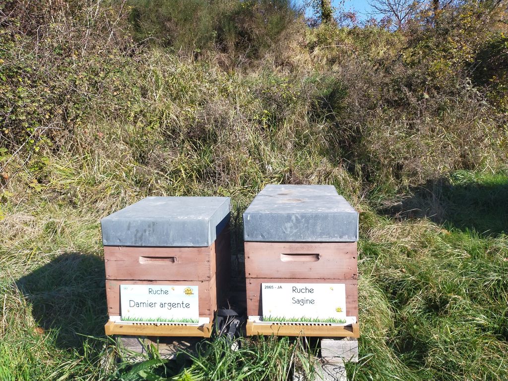 La ruche Damier argente