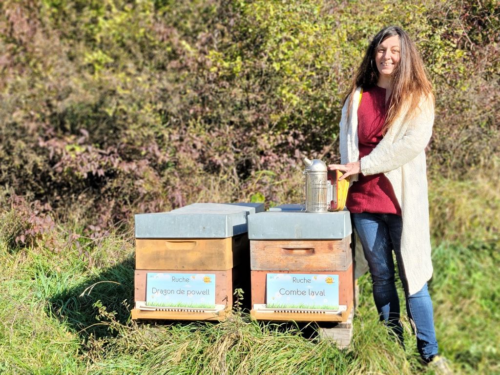 La ruche Dragon de powell