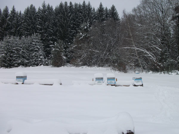 La ruche Guifette moustac