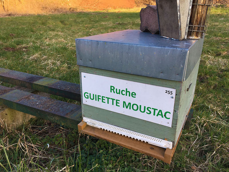 La ruche Guifette moustac