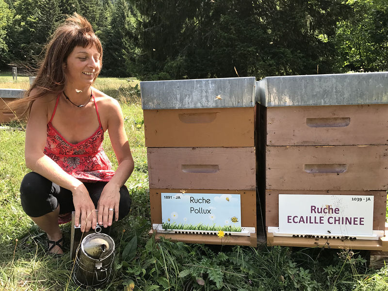 La ruche Ecaille chinee