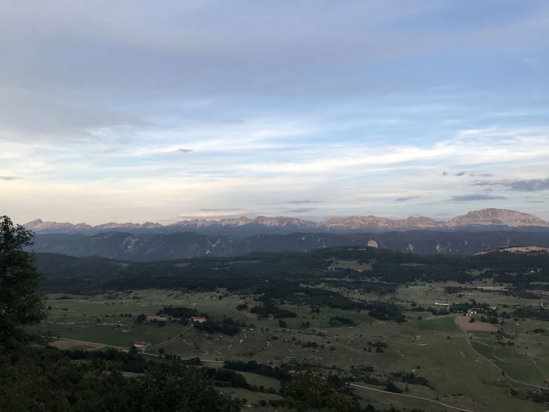 La ruche Ecaille chinee