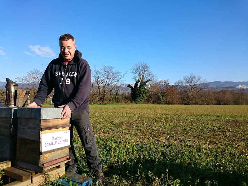 La ruche Ecaille chinee