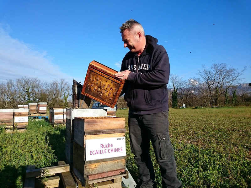 La ruche Ecaille chinee