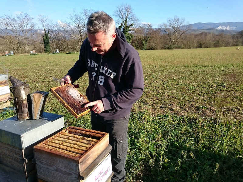 La ruche Ecaille chinee