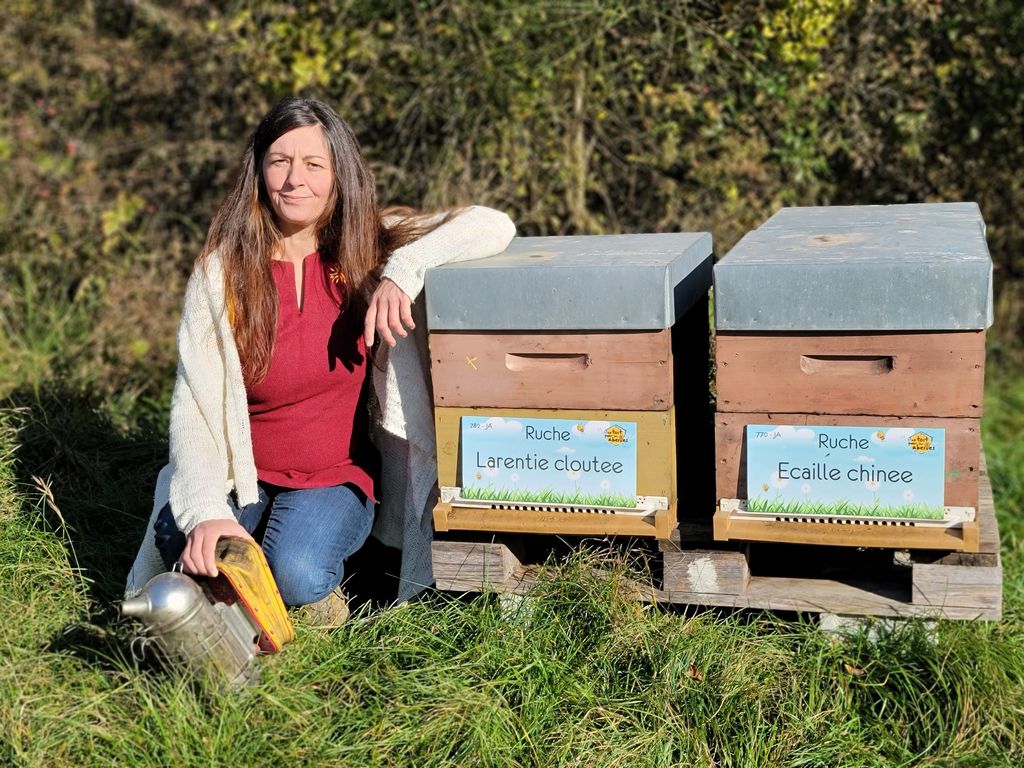 La ruche Ecaille chinee