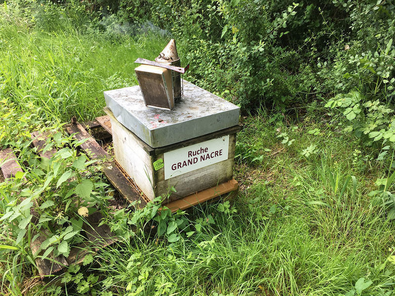 La ruche Grand nacre