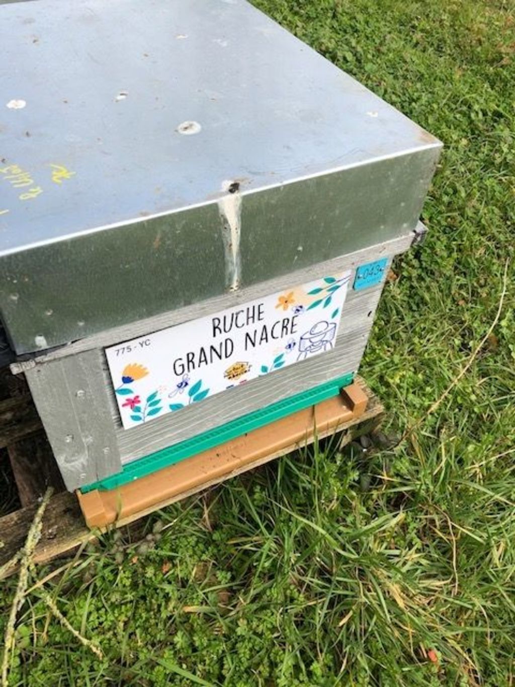 La ruche Grand nacre
