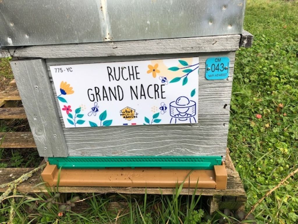 La ruche Grand nacre