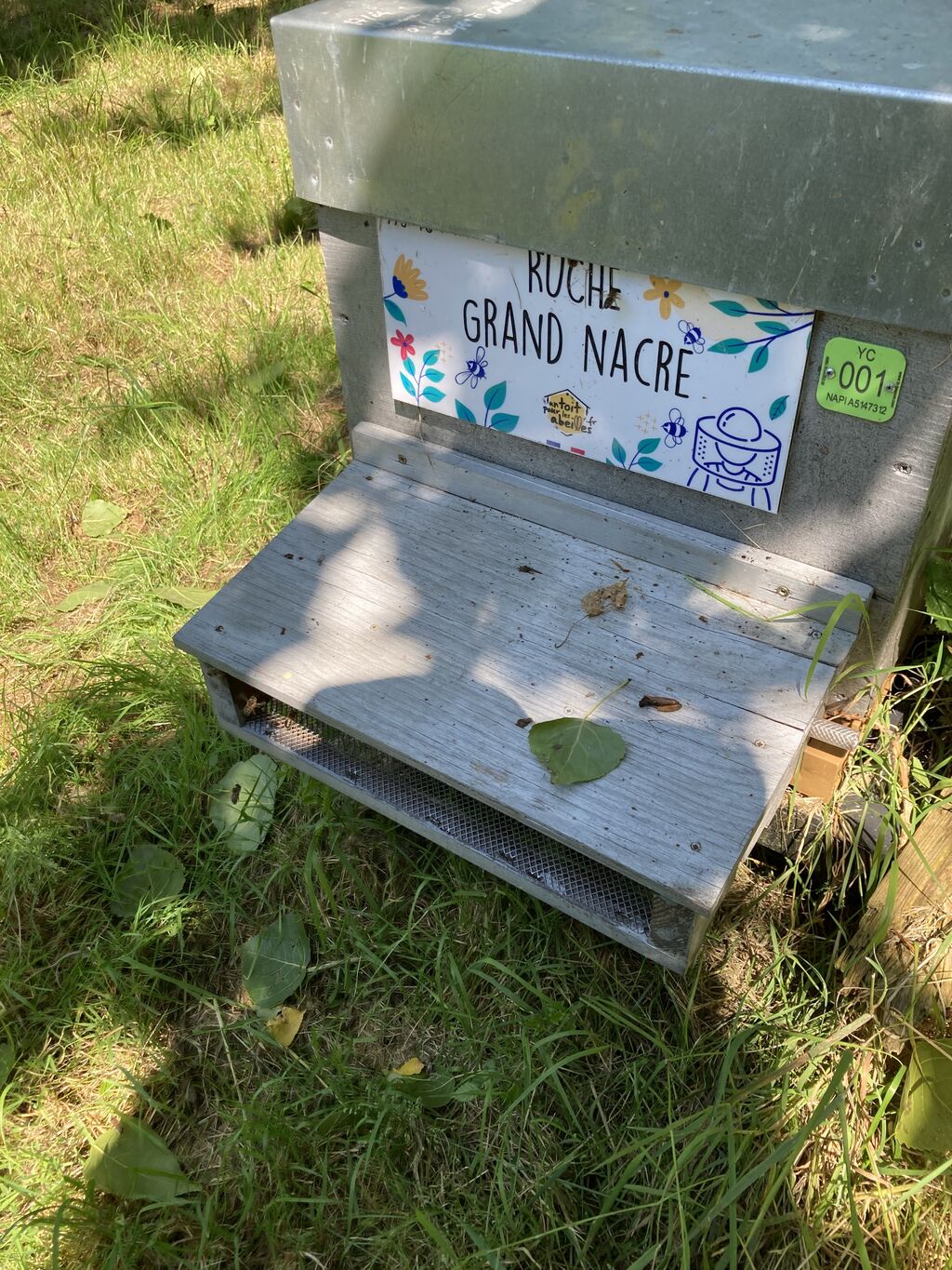 La ruche Grand nacre