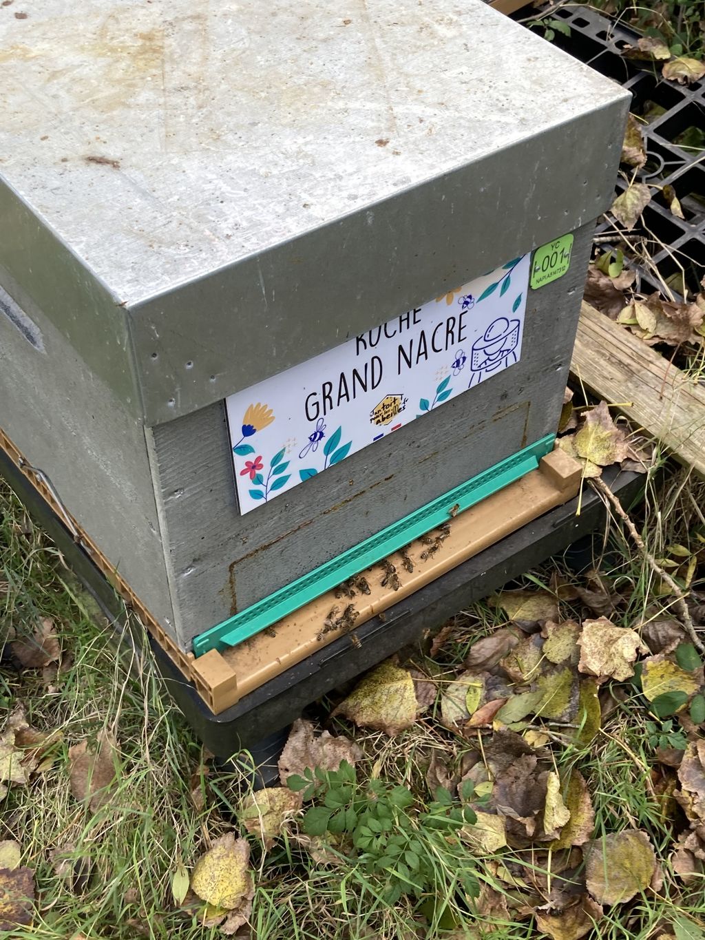 La ruche Grand nacre