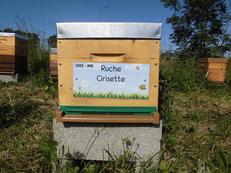 La ruche Grisette