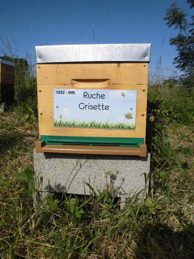 La ruche Grisette