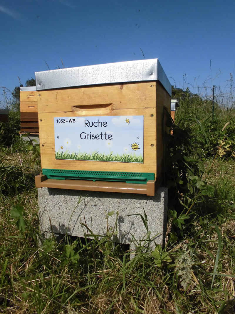 La ruche Grisette