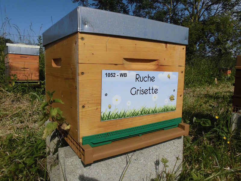 La ruche Grisette