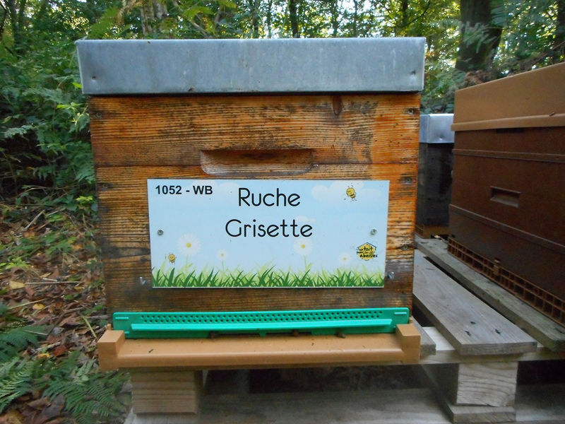 La ruche Grisette