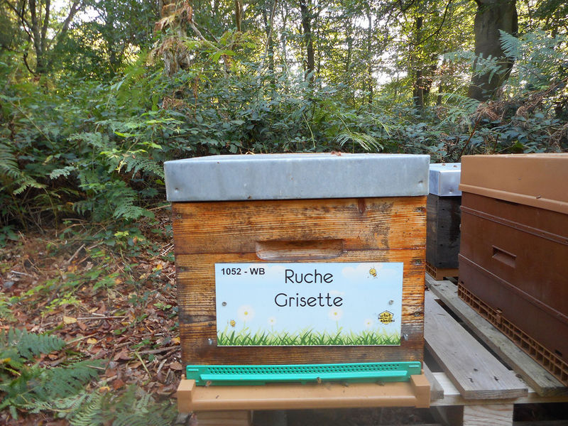 La ruche Grisette