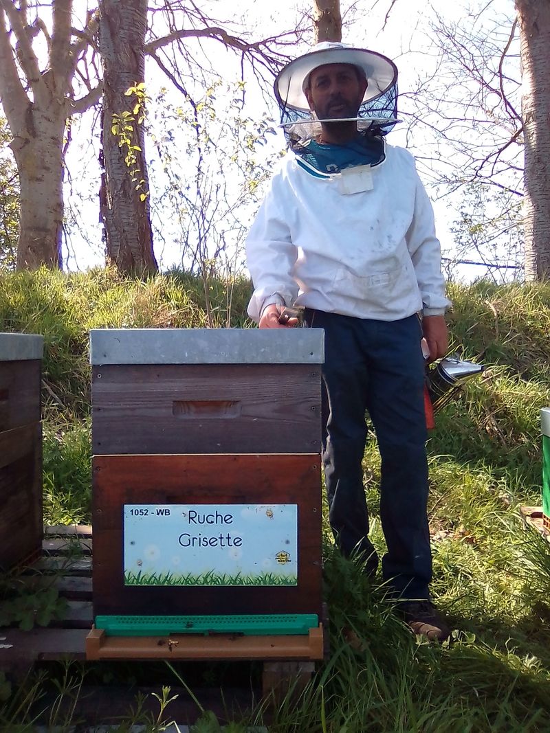 La ruche Grisette