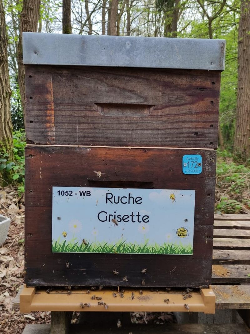 La ruche Grisette