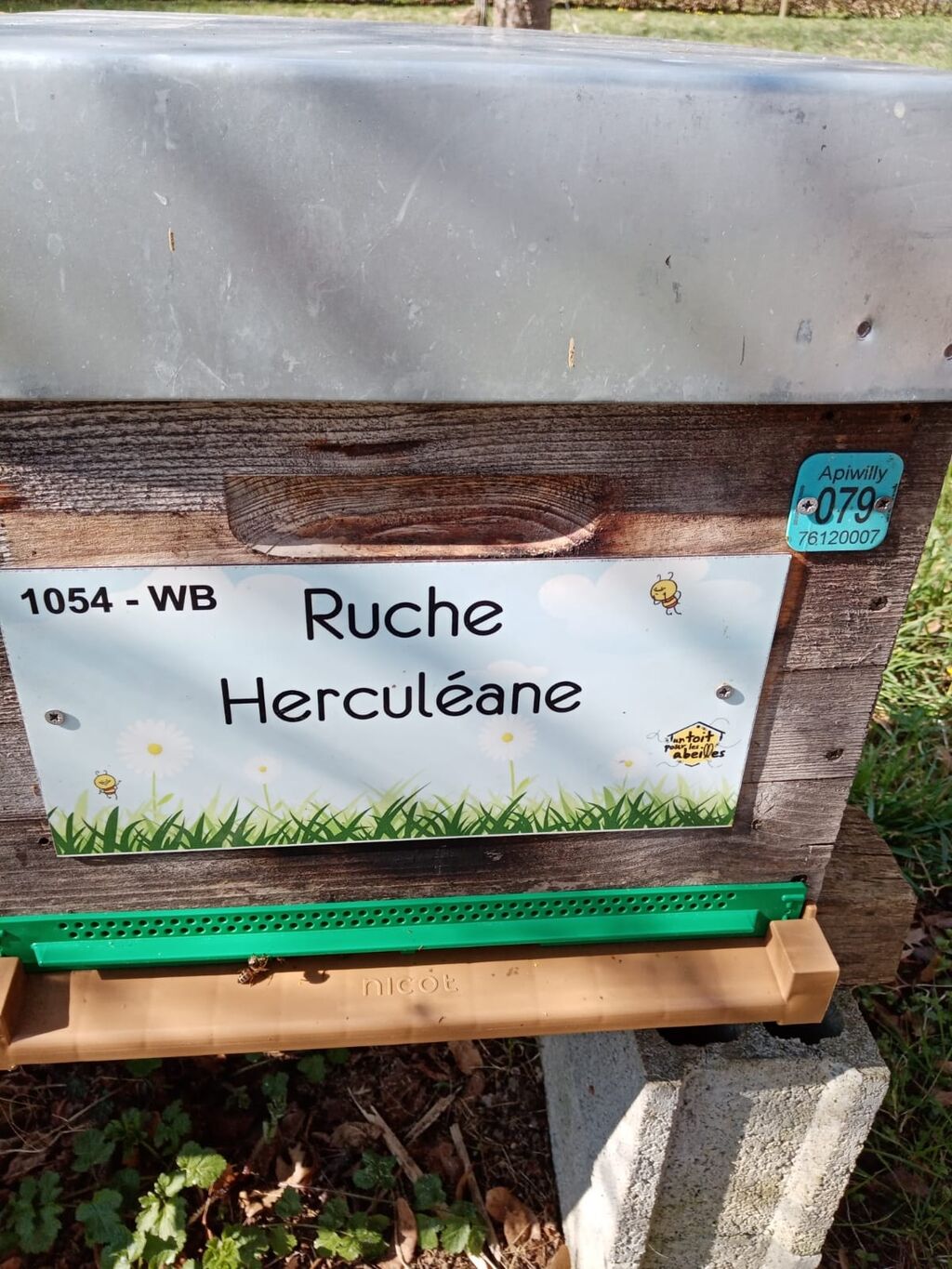 La ruche Herculéane