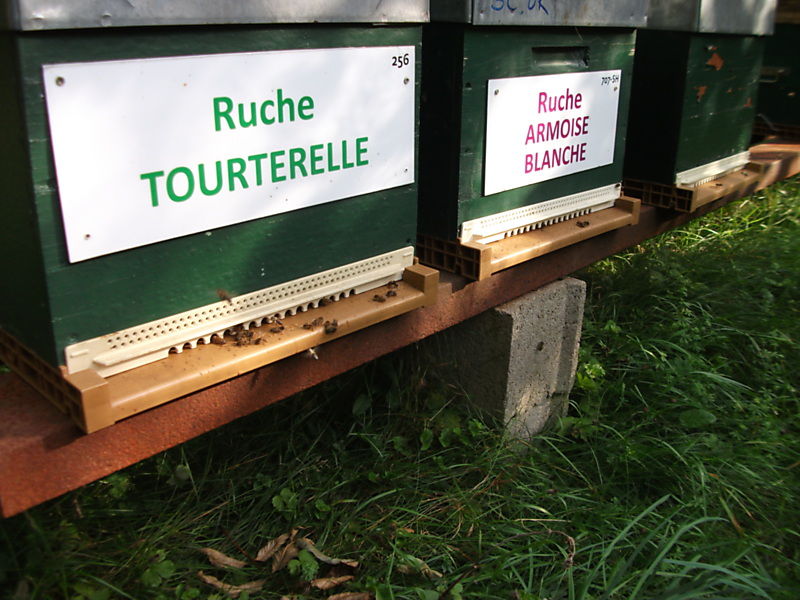 La ruche Tourterelle